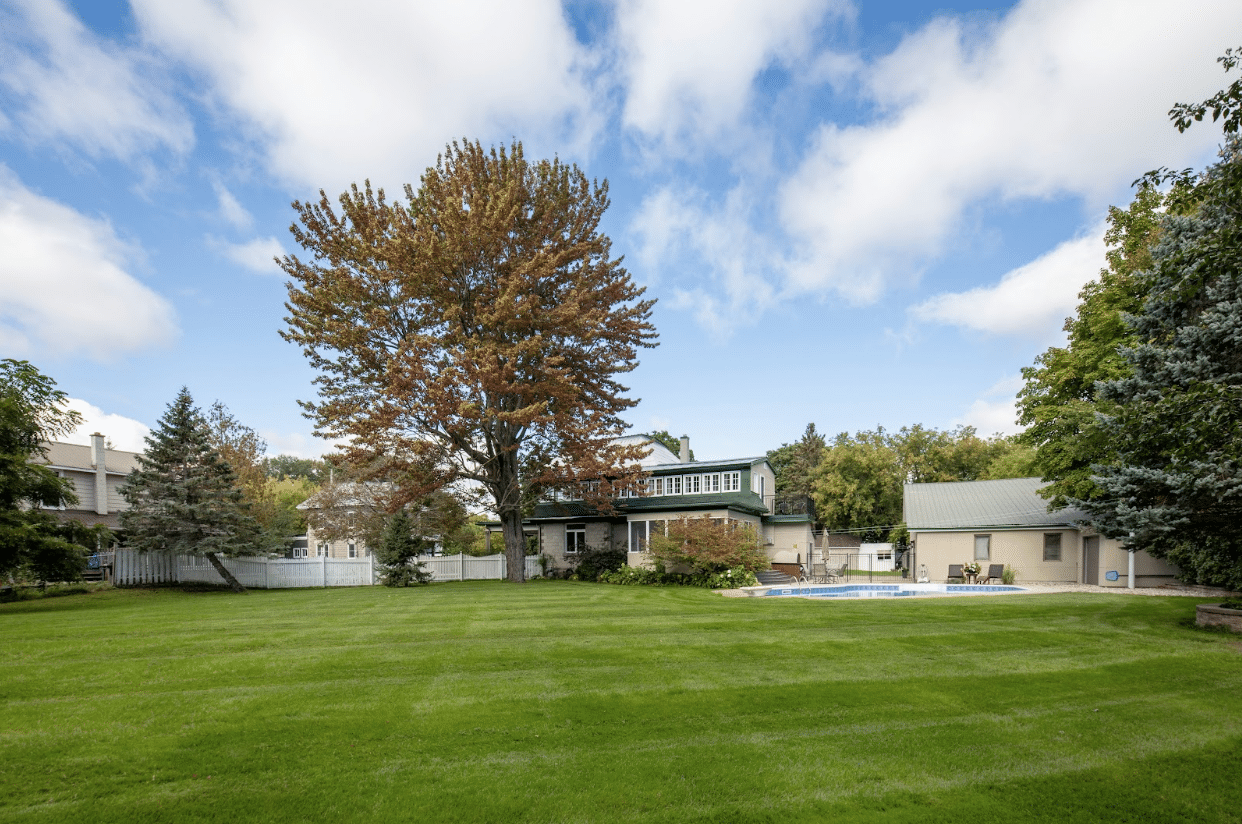 A lush backyard in Dallas with vibrant green grass, trees, and a serene landscape showcasing healthy tree care.